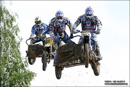 kivioli09.jpg