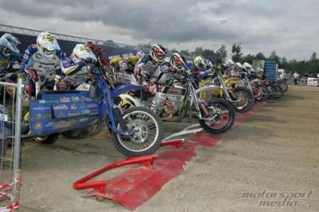 kivioli20092.jpg